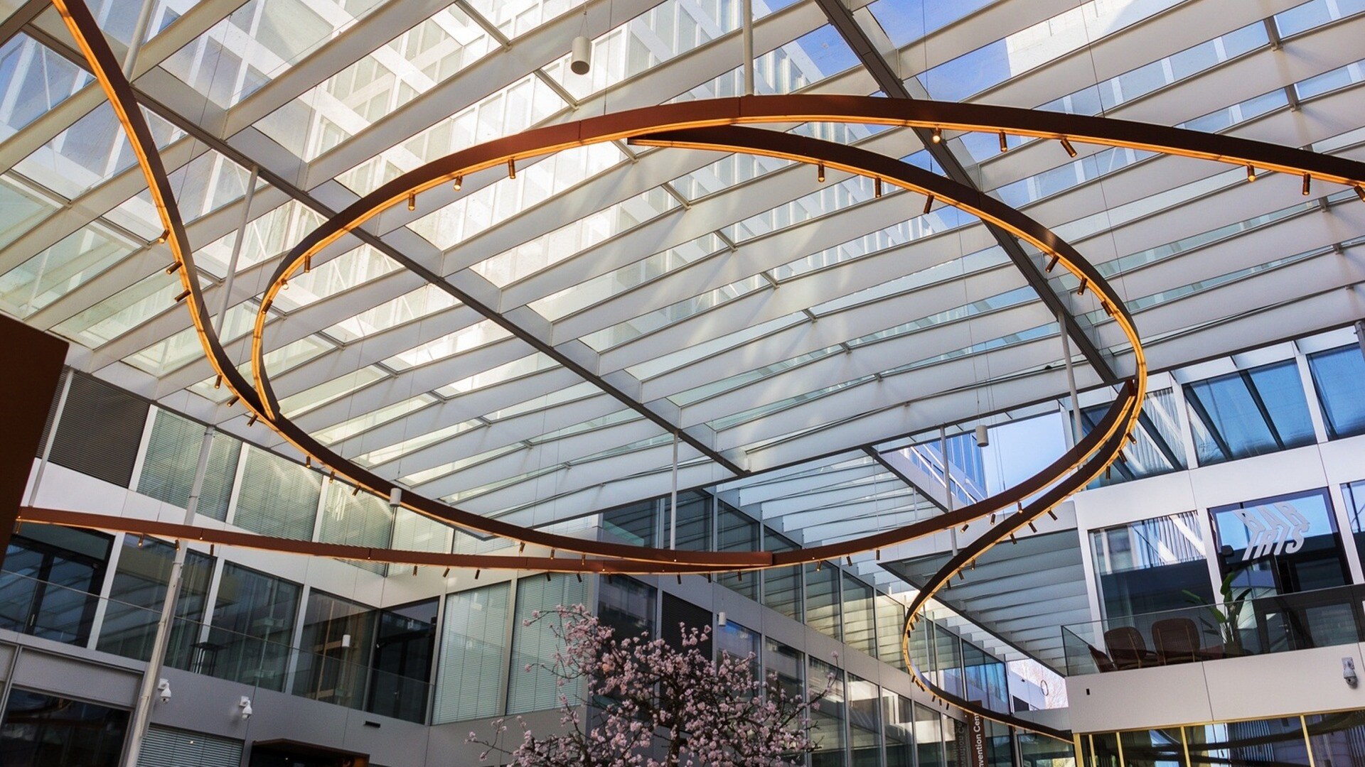 coloncorp-the-circle-riken-yamamoto-1