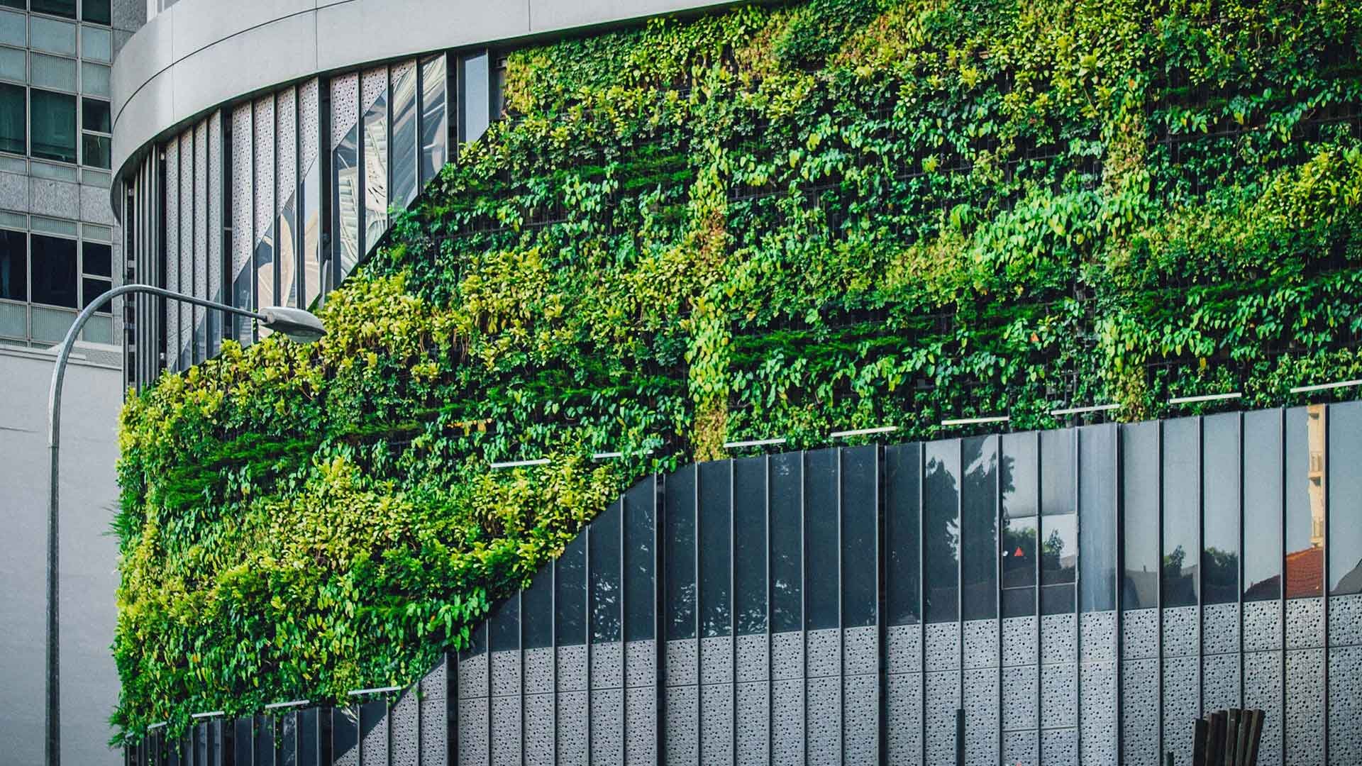 arquitectura -coloncorp