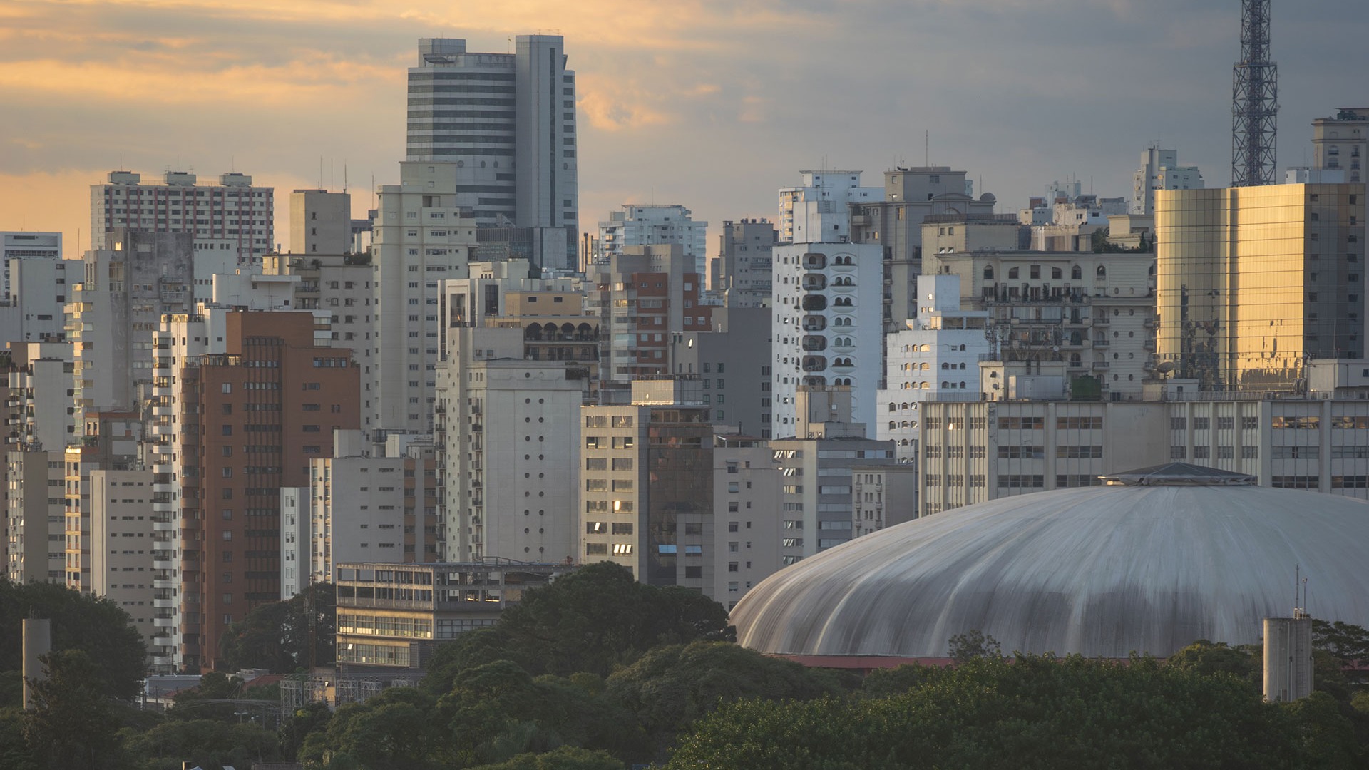desarrollo- coloncorp